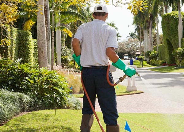 About Hayward WI Pest Control